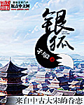 银狐 银狐