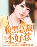 腹黑总裁不好惹 腹黑总裁不好惹